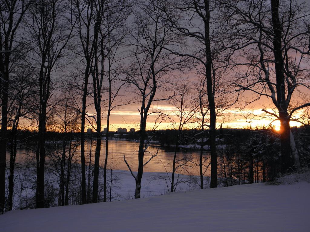 Neitsytniemen Kartano Bed and Breakfast Imatra Eksteriør billede