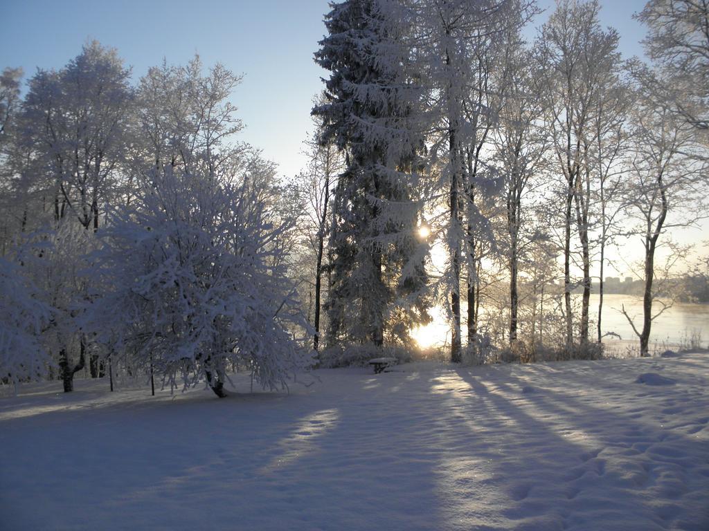 Neitsytniemen Kartano Bed and Breakfast Imatra Eksteriør billede